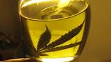 Photos of Cannabis Oil Medical Use