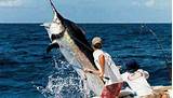 Hawaii Charter Fishing Pictures