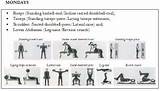 Exercise Routine Upper Body