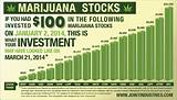 Photos of Growing Marijuana In Colorado For Profit