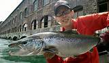 Photos of Atlantic Salmon Fishing Techniques