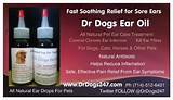 Dog Yeast Ear Infection Medication Photos