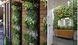 Photos of Vertical Garden Maintenance