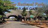 Pictures of Malelane Kruger National Park