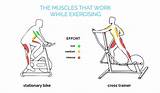 Do Exercise Bikes Work Images