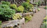 Rock Landscaping Pictures