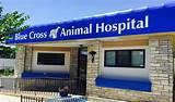 Photos of Animal Hospital Near You
