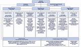 Corporate Security Department Structure Images