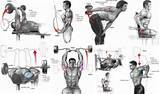 Pictures of Tricep Muscle Exercises