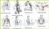Bicep Exercises Images