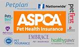 Is Pet Insurance Necessary Pictures