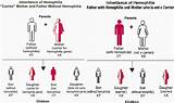 Hemophilia Treatment Options