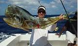 Pictures of Ft Lauderdale Fishing Charter