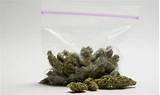 Pictures of Craigslist Marijuana Seeds