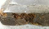 What Termite Damage Looks Like