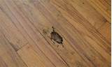 Pictures of Repair Termite Damage Hardwood Floor