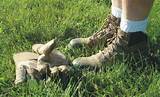Lawn Care Boots Images