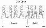 Pictures of Gait Therapy