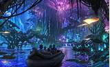 New Theme Park At Disney World Images