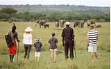 Kenya Tanzania Safari Packages Pictures