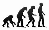 Theory Of Evolution Yahoo Images