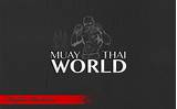 Pictures of Muay Thai Wallpaper