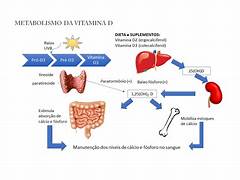 Metabolismo da vitamina D