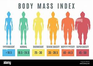 Female Body Mass Index Von Untergewicht Zu Super Fettleibigkeit Frau