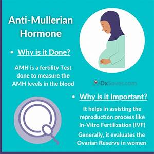 Lowest Anti Mullerian Hormone Amh Test Cost 95 Book Online Now