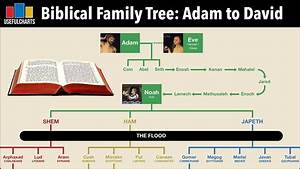Of The Best Adam And Lineage Chart Green House Schools