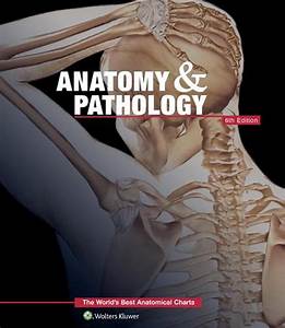 Anatomy Pathology The World 39 S Best Anatomical Charts Book By