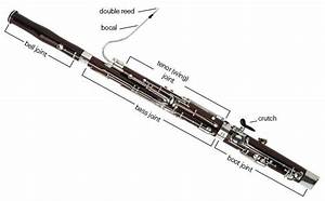 Bassoon Buyer 39 S Guide Comparison Chart Bassoon Bassoons Woodwinds