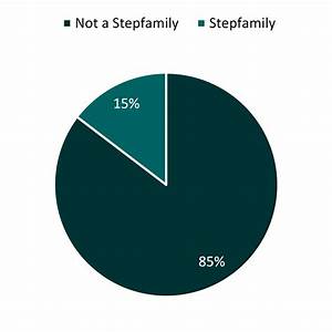 Stepfamilies In First Marriages