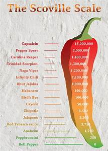 39 The Scoville Scale 39 Poster Picture Metal Print Paint By Cornea