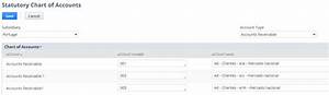 netsuite applications suite statutory chart of accounts for tax audit