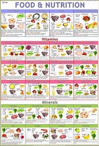 Food Charts ट च ग च र ट श क षण च र ट Vidya Chitr Prakashan New