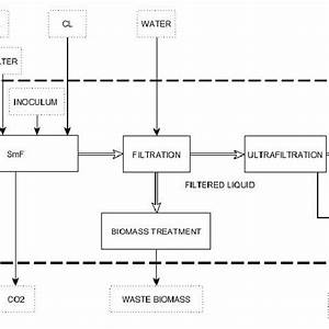 Flow Diagram Of The Solid State Fermentation Ssf Process Is Included