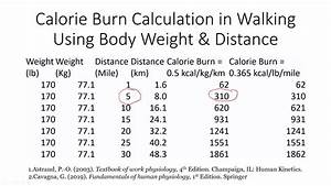 Calorie Burn Calculation In Walking Using Body Weight Distance Youtube