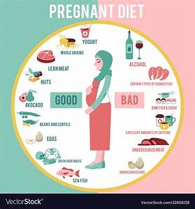  Woman Diet Infographic Royalty Free Vector Image