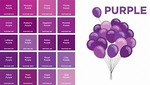 Pms Colors Purple 92 X3cb 92 X3epurple Colors 92 X3c B 92 X3e Names Picture