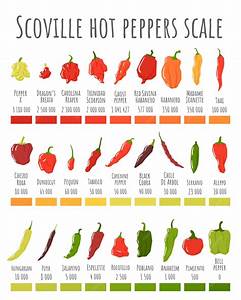 Premium Vector Scoville Peppers Scale Pepper Chart Spicy