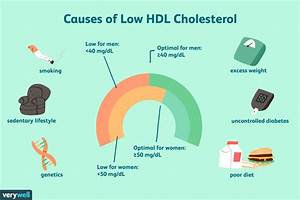 Wodurch Werden Niedrige Hdl Cholesterinwerte Verursacht