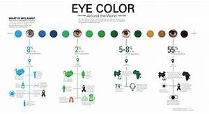 61 Eye Color Statistics Worldwide