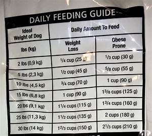 Hill 39 S Science Diet Large Breed Puppy Feeding Chart
