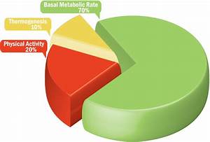 Understanding Your Basal Metabolic Rate Bmr Tips For How To Boost It