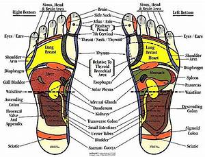 Understanding Foot Reflex Zones Pedikur