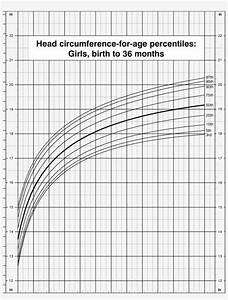 Head Circumference For Age Percentiles Girls Birth Centile Chart