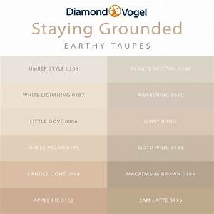 Earthy Taupe Paint Colors For Your Whole Home Warm Understated Color