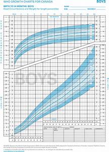 Who Growth Charts Head Circumference 0 24 Mo Cloud Practice