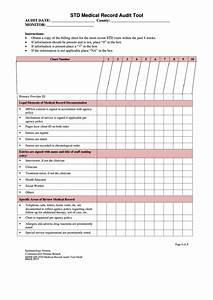 Medical Record Audit Tool Template